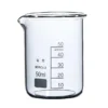 Glass Beaker  with spout  Glass 50ml